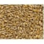 1Kg Grano Tenero