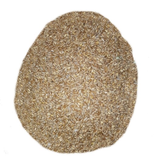 1Kg Grano duro varietà "Russello"