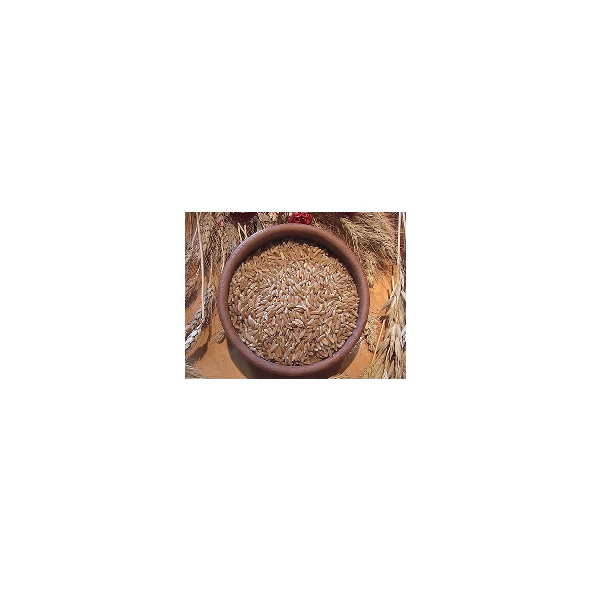 1kg Grano duro varietà "Khorasan"