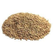 25 kg Lenticchie Piccole "SICILIANE"