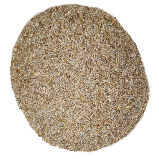 5Kg Grano Duro varietà "Timilia"