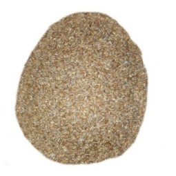 25 Kg Grano Duro varietà "Russello"