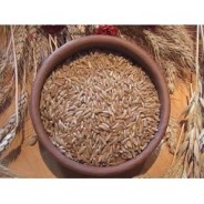25kg Grano duro varietà "Khorasan"