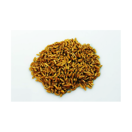 5Kg Grano duro varietà  "Perciasacchi"