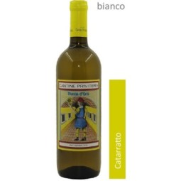 Cataratto 75cl Vino