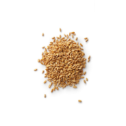 5Kg Grano Duro varietà "Senatore Cappelli"